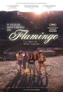 O Olhar Misterioso do Flamingo