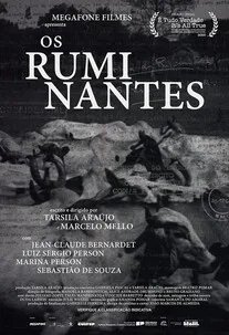 Os Ruminantes Os Ruminantes