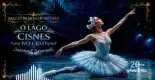 Ballet de Moscou no Gelo O Lago dos Cisnes